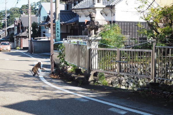 f:id:midorineko_cutter_mat:20200929182847j:plain