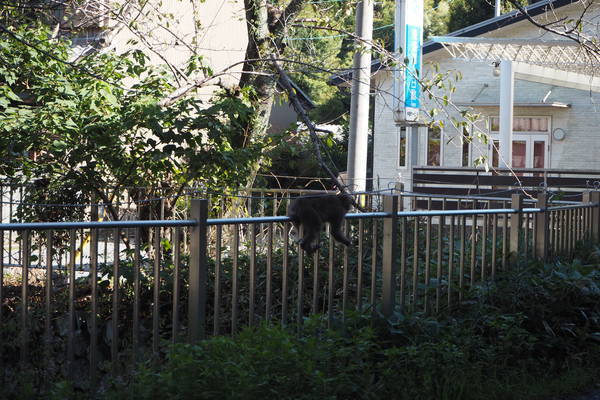 f:id:midorineko_cutter_mat:20200929182906j:plain