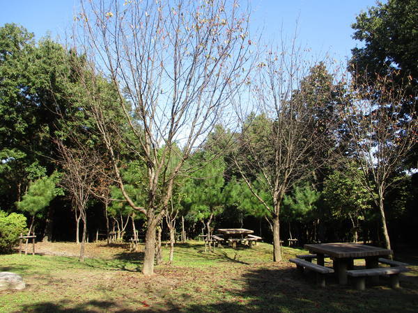 f:id:midorineko_cutter_mat:20201020212817j:plain f:id:midorineko_cutter_mat:20201020212817j:plain