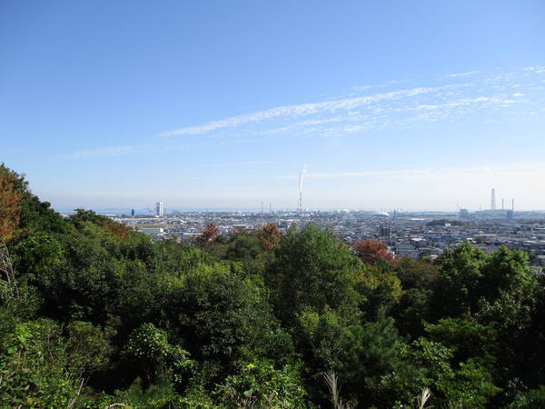 f:id:midorineko_cutter_mat:20201020212909j:plain f:id:midorineko_cutter_mat:20201020212909j:plain