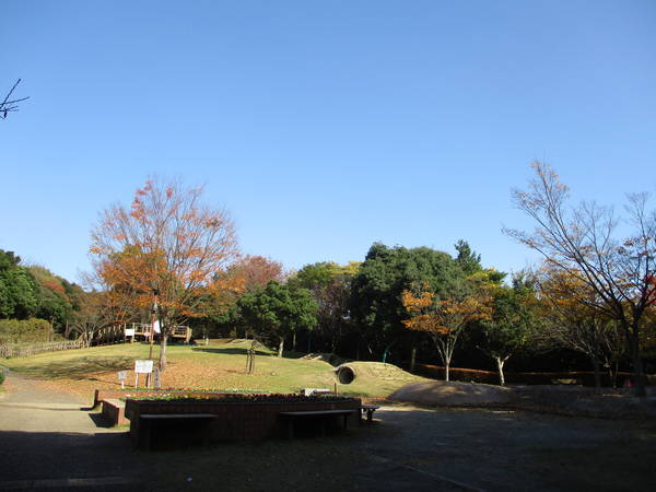 f:id:midorineko_cutter_mat:20201119234347j:plain