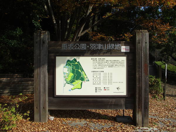 f:id:midorineko_cutter_mat:20201119235244j:plain