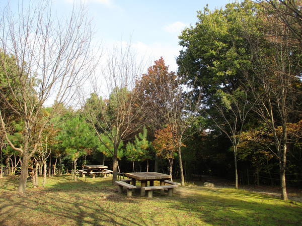 f:id:midorineko_cutter_mat:20201119235449j:plain