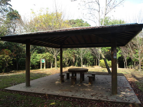 f:id:midorineko_cutter_mat:20201119235600j:plain