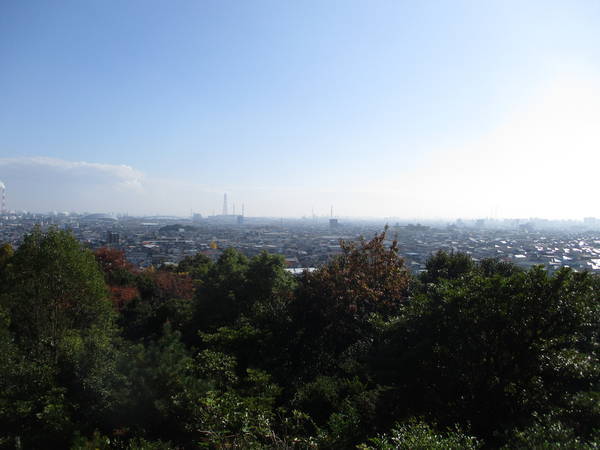 f:id:midorineko_cutter_mat:20201119235742j:plain
