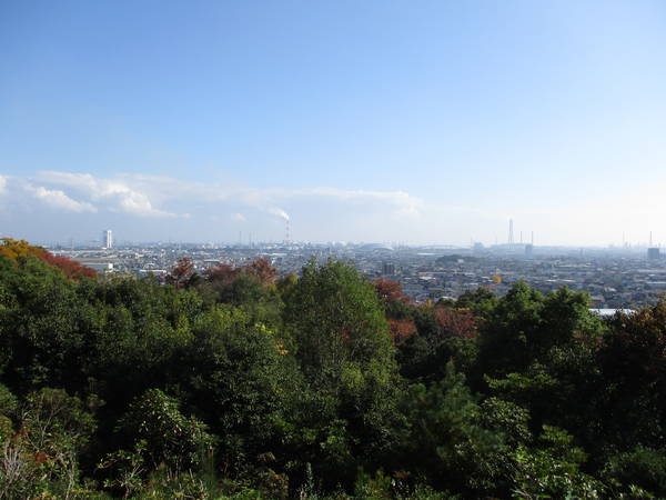 f:id:midorineko_cutter_mat:20201119235813j:plain