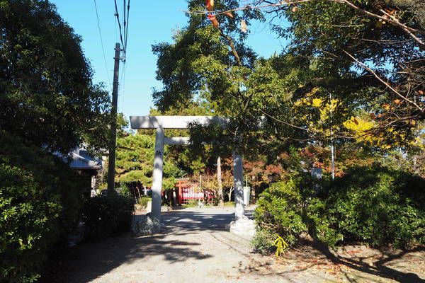 f:id:midorineko_cutter_mat:20201121230156j:plain