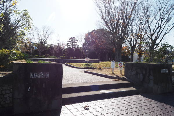 f:id:midorineko_cutter_mat:20201122172755j:plain
