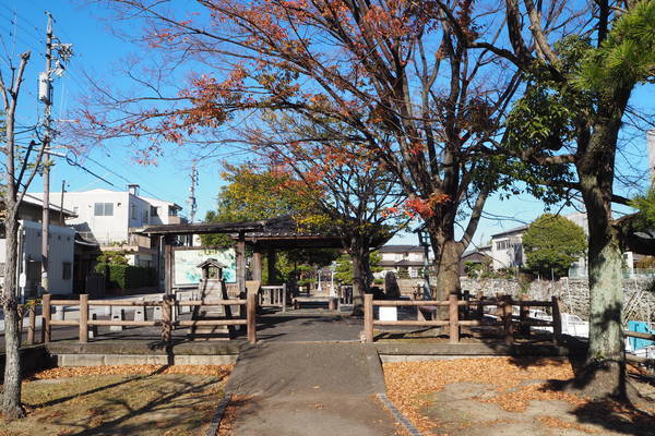f:id:midorineko_cutter_mat:20201122175745j:plain