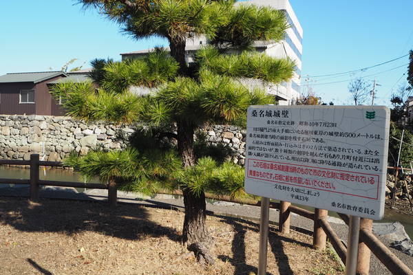 f:id:midorineko_cutter_mat:20201122175905j:plain