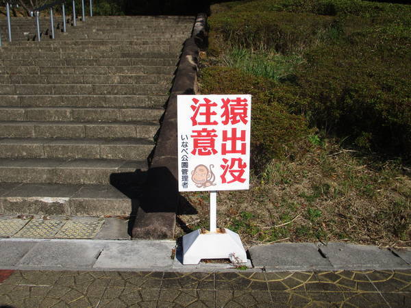 f:id:midorineko_cutter_mat:20201205203806j:plain