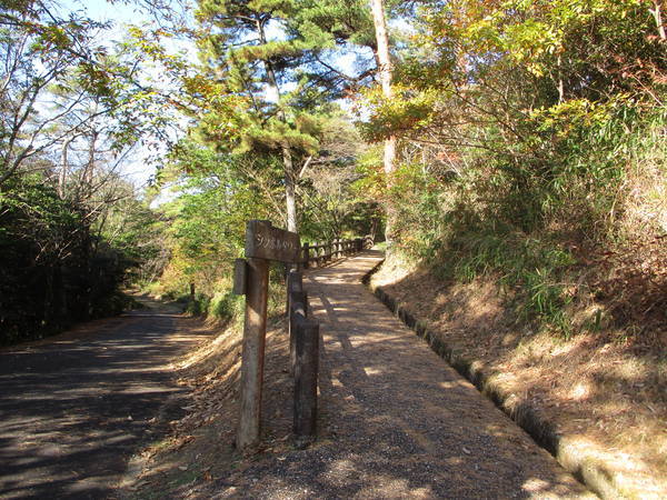 f:id:midorineko_cutter_mat:20201205204419j:plain