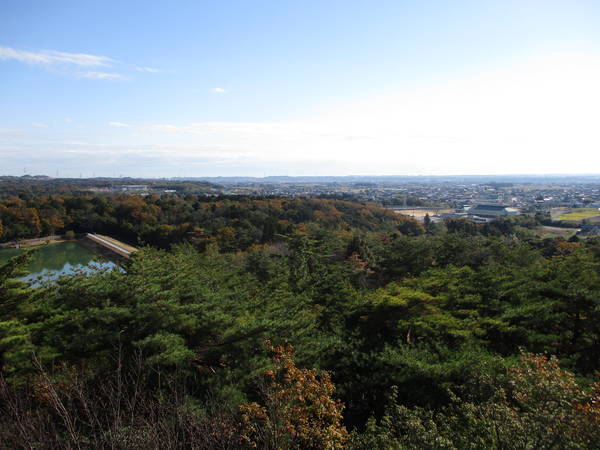 f:id:midorineko_cutter_mat:20201205204759j:plain