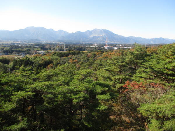 f:id:midorineko_cutter_mat:20201205204832j:plain