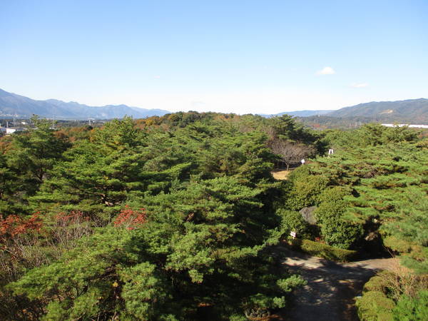 f:id:midorineko_cutter_mat:20201205204846j:plain