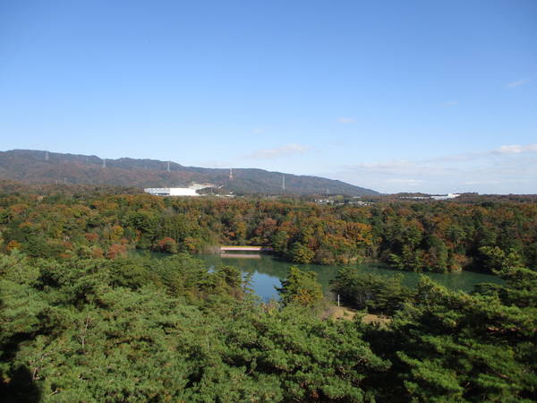 f:id:midorineko_cutter_mat:20201205204908j:plain