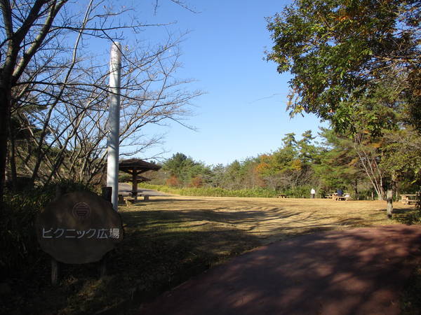 f:id:midorineko_cutter_mat:20201205205137j:plain