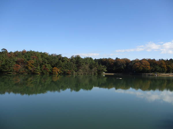 f:id:midorineko_cutter_mat:20201205205227j:plain