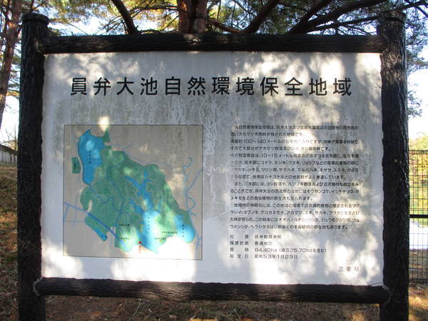 f:id:midorineko_cutter_mat:20201205205601j:plain