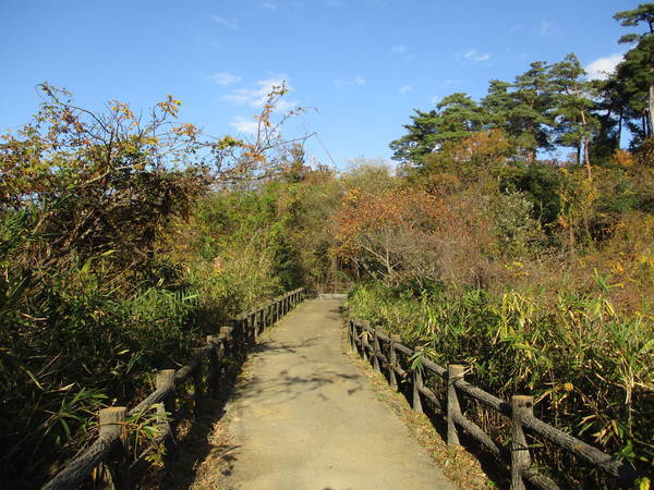 f:id:midorineko_cutter_mat:20201205210758j:plain