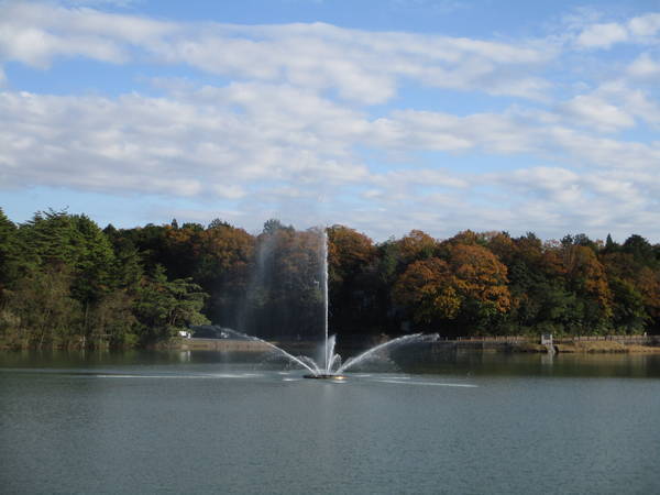 f:id:midorineko_cutter_mat:20201205211242j:plain