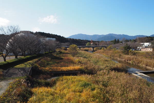 f:id:midorineko_cutter_mat:20201207163648j:plain