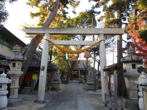 f:id:midorineko_cutter_mat:20201207173200j:plain