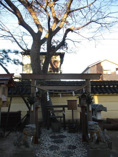f:id:midorineko_cutter_mat:20201207173255j:plain