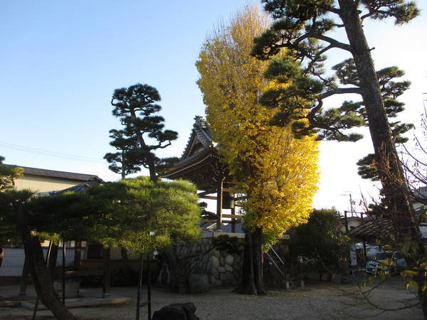 f:id:midorineko_cutter_mat:20201207173533j:plain