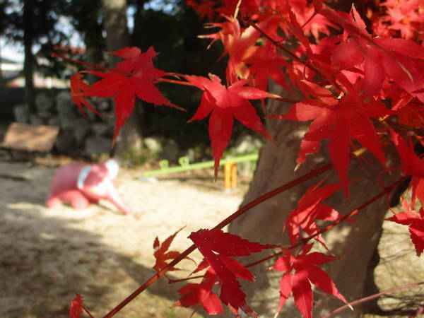 f:id:midorineko_cutter_mat:20201216201115j:plain