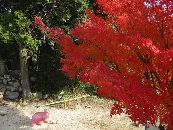 f:id:midorineko_cutter_mat:20201216201153j:plain