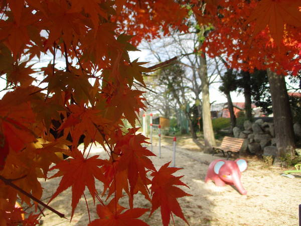 f:id:midorineko_cutter_mat:20201216201206j:plain