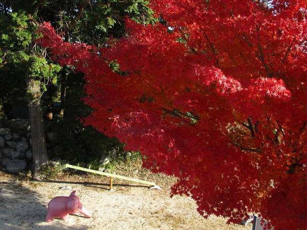 f:id:midorineko_cutter_mat:20201216201243j:plain
