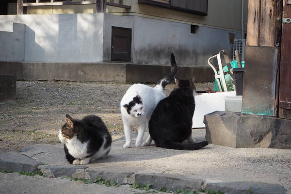 f:id:midorineko_cutter_mat:20201223225439j:plain