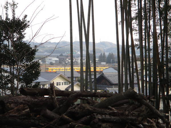 f:id:midorineko_cutter_mat:20201229161359j:plain