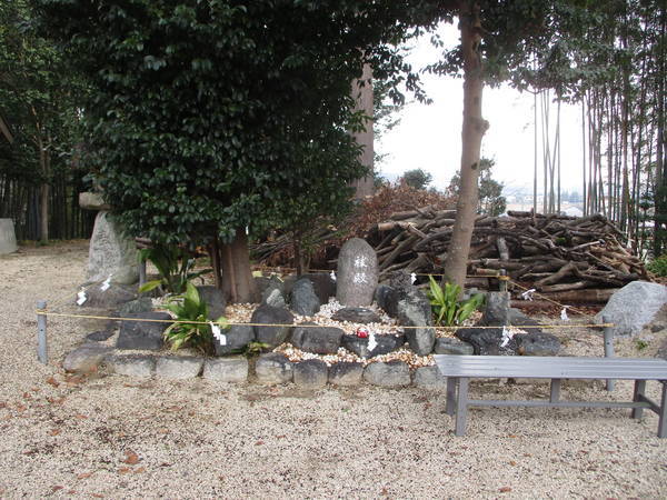 f:id:midorineko_cutter_mat:20201229161413j:plain