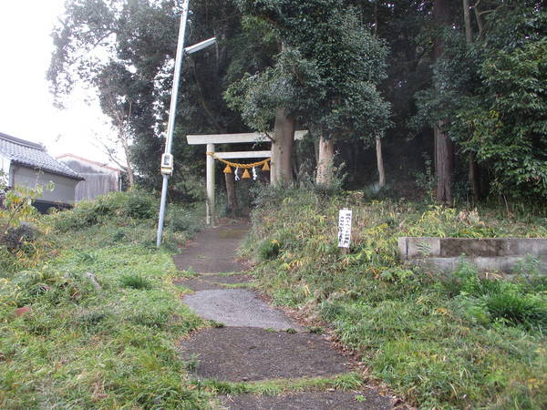 f:id:midorineko_cutter_mat:20201229161643j:plain