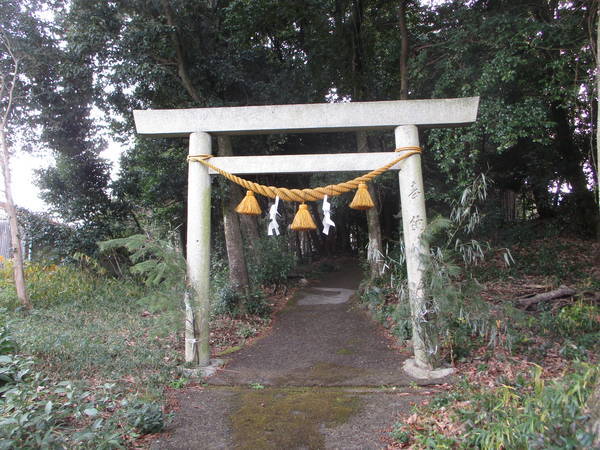 f:id:midorineko_cutter_mat:20201229161656j:plain