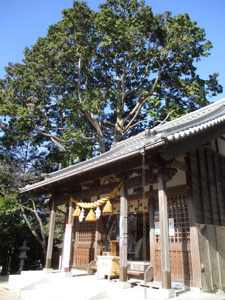 f:id:midorineko_cutter_mat:20210104145940j:plain