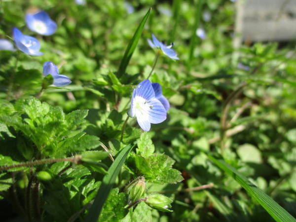 f:id:midorineko_cutter_mat:20210220145843j:plain