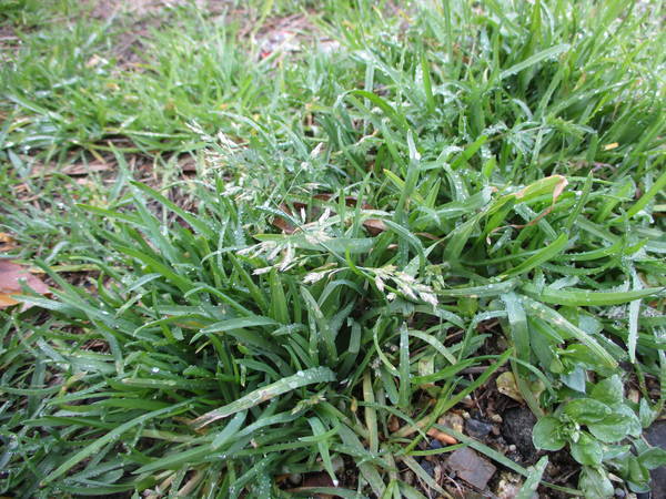 f:id:midorineko_cutter_mat:20210220153329j:plain