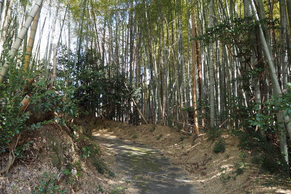 f:id:midorineko_cutter_mat:20210227214515j:plain