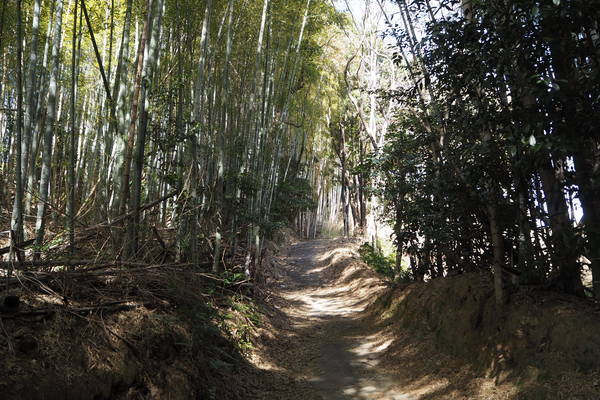 f:id:midorineko_cutter_mat:20210227214534j:plain