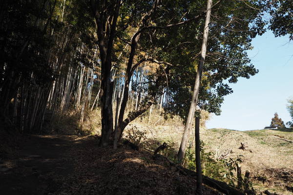 f:id:midorineko_cutter_mat:20210227214551j:plain