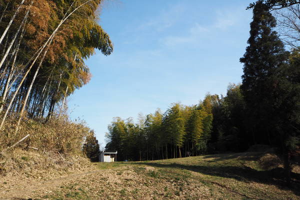 f:id:midorineko_cutter_mat:20210227214612j:plain