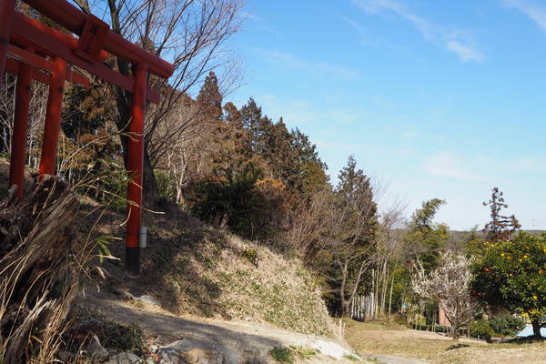 f:id:midorineko_cutter_mat:20210227223835j:plain