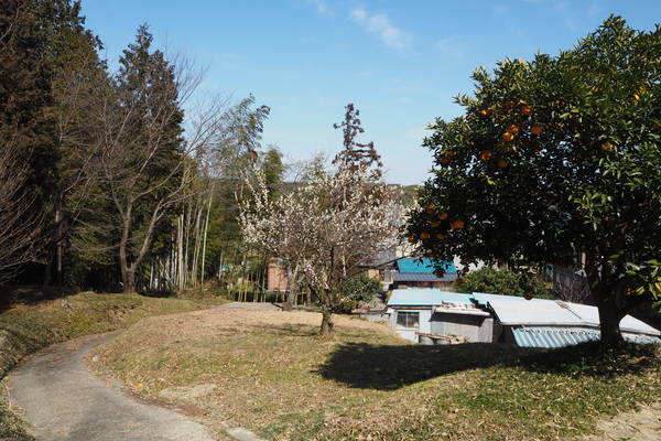 f:id:midorineko_cutter_mat:20210227223912j:plain