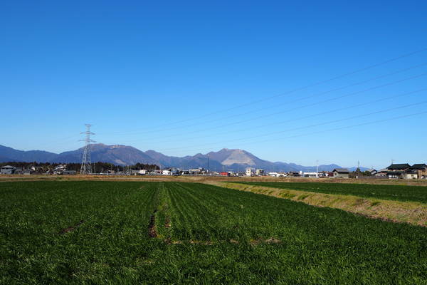 f:id:midorineko_cutter_mat:20210304115525j:plain