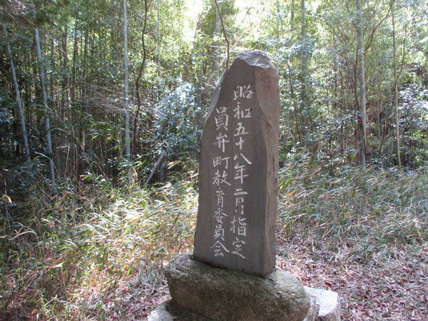 f:id:midorineko_cutter_mat:20210304201250j:plain