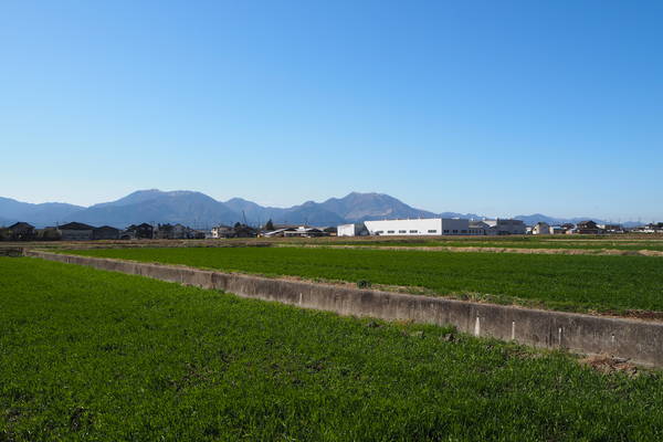 f:id:midorineko_cutter_mat:20210304213006j:plain